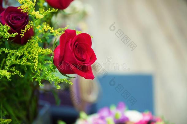 红色的金玫瑰.向写浪漫史.情人.玫瑰金花