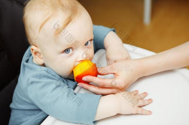 婴儿采用小孩吃饭时所用的高脚椅子和母亲喂养他和桃子