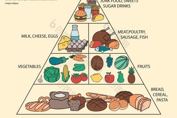 食物<strong>金字塔健康</strong>的吃信息图.<strong>健康</strong>的生活方式.偶像