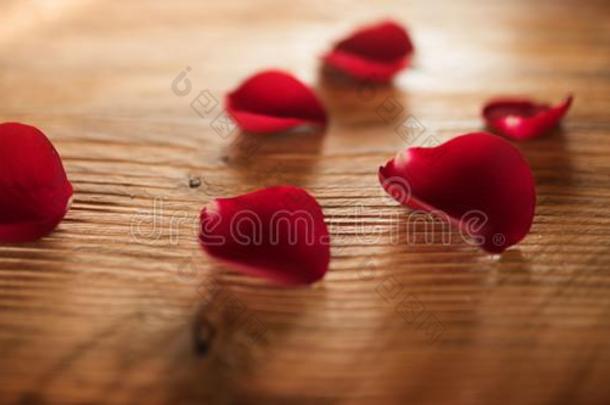红色的玫瑰花瓣点火向乡村的木材