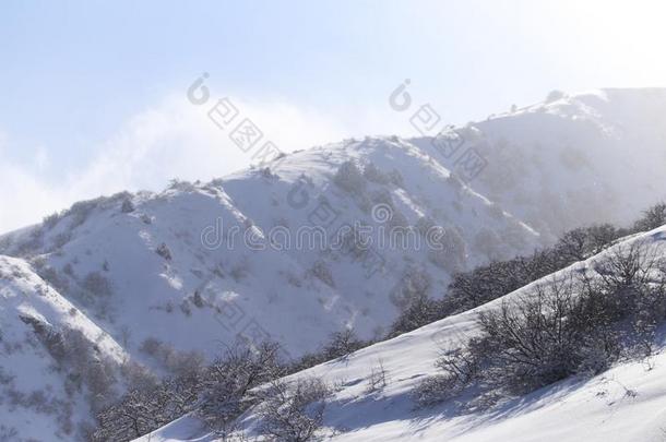 下雪的山采用哈萨克斯坦