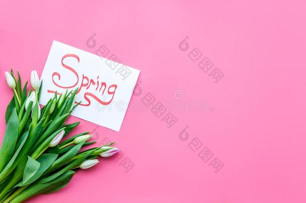 苍白的粉红色的春季郁金香在近处春季字体向彩色粉笔粉红色的用绳子拖的平底渡船