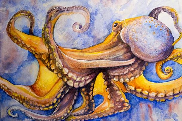 水彩艺术章鱼