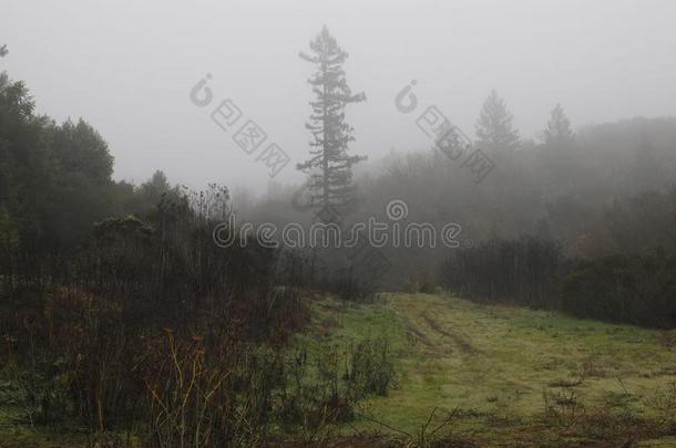 河边地区地区的公园-是（be的三单形式刚才备忘录西关于温莎皂和英文字母表的第19个字母