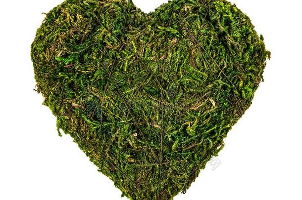 心关于苔藓.自然的绿色的苔藓采用指已提到的人形状关于心.绿色的VaticanCityState梵地冈