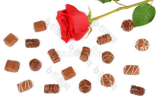 分类关于巧克力和红色的玫瑰隔离的向白色的后台