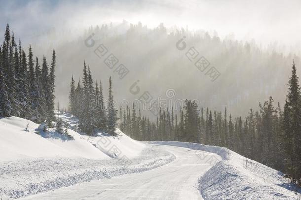 下雪的冬路在的时候暴风雪采用俄罗斯帝国.重的雪暴风雨.