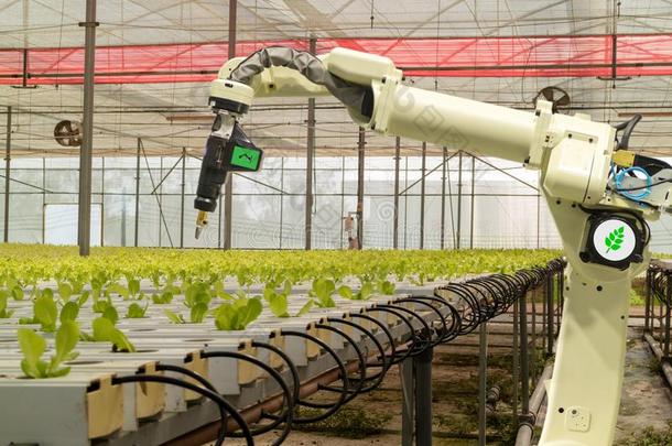 聪明的机器人的采用农业未来的观念,机器人农场主一
