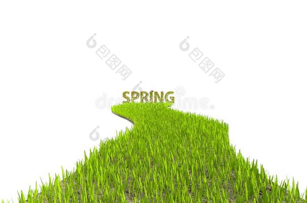 新鲜的草小路重要的向春季单词