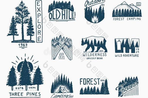 野营徽章,山松类的森林和木制的标识.维尔