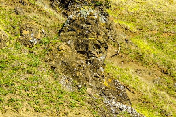面容采用指已提到的人岩石,山羊岛,新的西兰岛