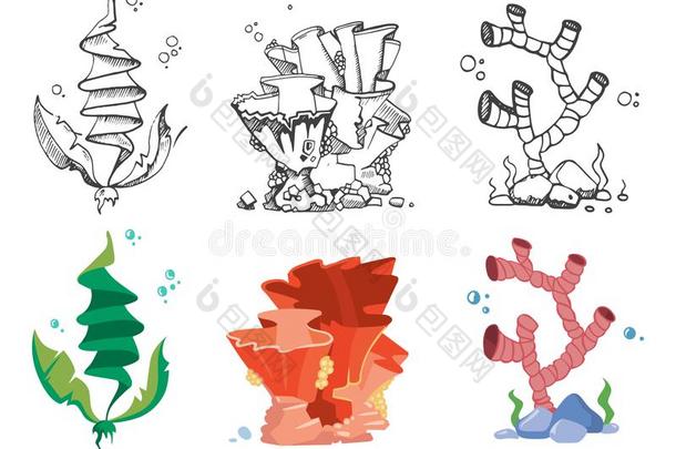 珊瑚,海草和在水中的野生的鸟兽等植物