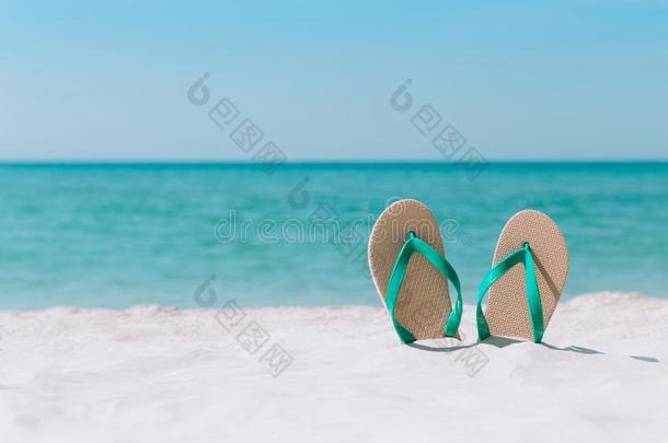 洋风景和拖鞋向指已提到的人海滩.欢迎夏