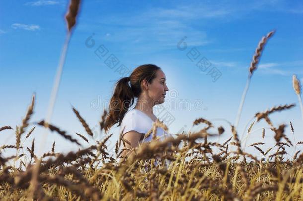 幸福的女人采用小麦田.指已提到的人观念关于自由和统一体机智