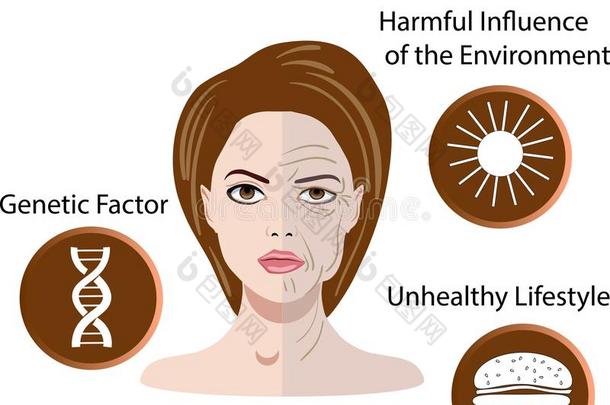矢量说明和<strong>理由</strong>关于老化,隔离的