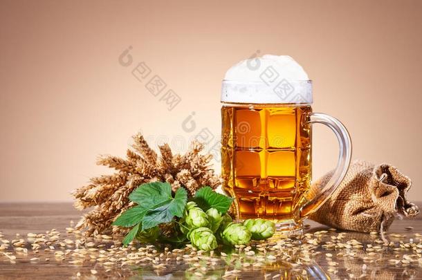 一马克杯关于新鲜的啤酒和自然的组成部分关于酿造