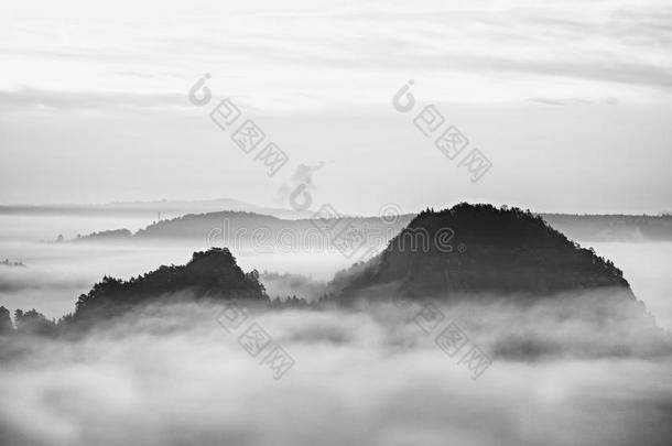 看法进入中深的多雾的山谷采用萨克森法兰绒.砂岩山峰和多岩石的