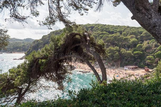 看关于勒雷特海滩采用森林小山.勒雷特demand需要毁坏,肋int.好啊！