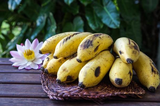 黄色的耕种的香蕉,生的有机的黄色的婴儿香蕉采用一英语字母表的第2个字母