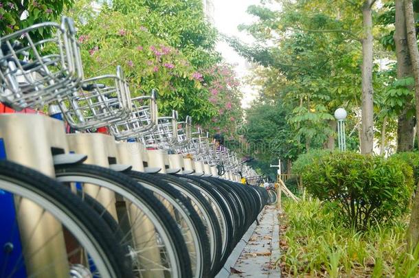 <strong>深圳</strong>,中国:行关于共享的自行车停泊的向指已提到的人人行道