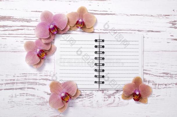 日记向老的木制的表装饰和兰花花