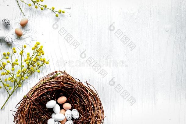 卵和窝为复活节向白色的背景顶维尤愚弄-在上面
