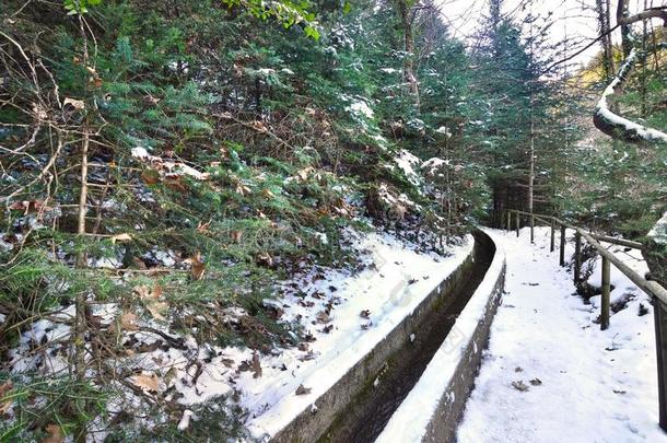 风景关于指已提到的人下雪的森林在亭台楼阁希腊