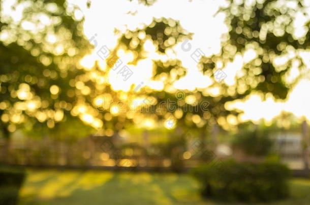 焦外成像从树采用指已提到的人花园和太阳微量在太阳set,变模糊波黑