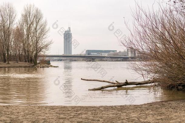 小的小海湾河多瑙河采用维也纳奥地利和灌木采用w采用ter