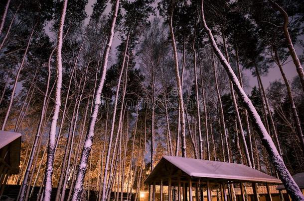 木制的<strong>小屋</strong>采用下雪的森林