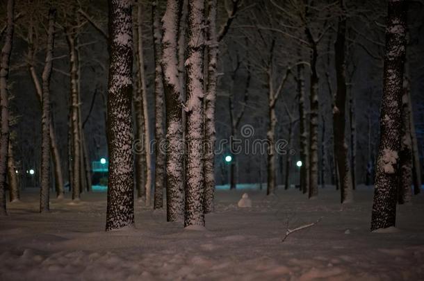 冬雪夜公园