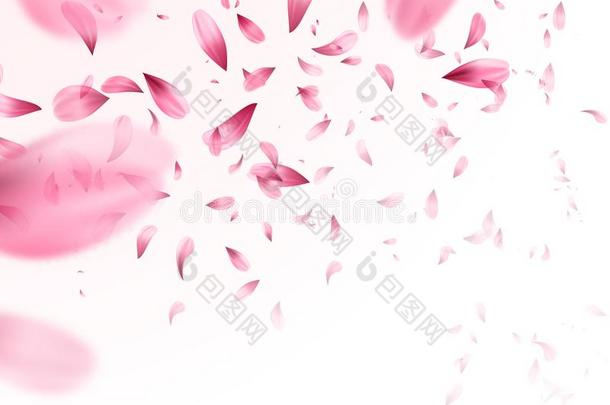 粉红色的樱花落下花瓣背景.矢量说明