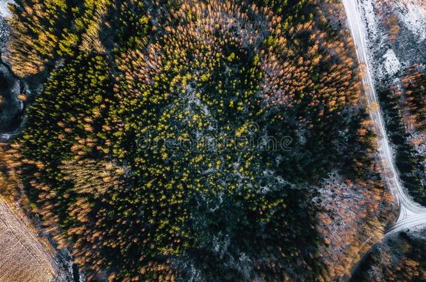 雄蜂摄影关于一和煦的：照到阳光的冬D一y关于P一rtly下雪的森林