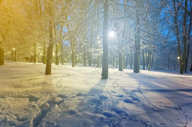 冬被雪困住的公园地点