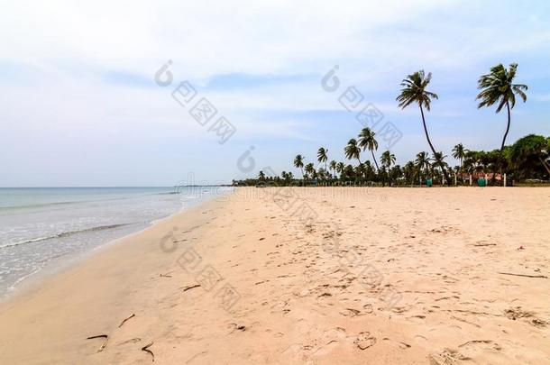 清静的海滩在<strong>东方</strong>和<strong>东方</strong>海岸关于斯里斯里兰卡