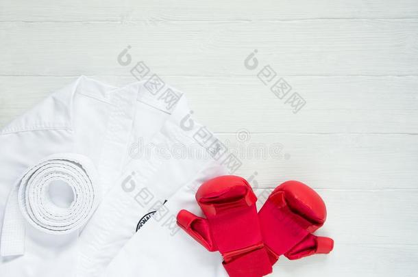 空手道,柔道,跆拳道制服和拳击手套向向白色的后座