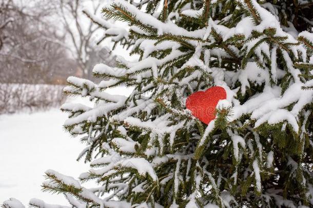红色的纸<strong>心静</strong>止的向雪cove红色的松树树树枝在外面