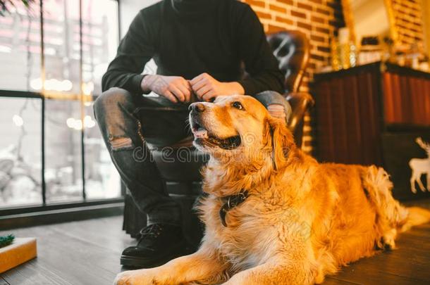 成熟的狗一金色的寻猎物犬,一br一dor谎言紧接在后的向指已提到的<strong>人物</strong>主`英<strong>文字</strong>母表的第19个字母lease租约