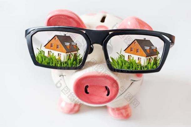 节约和财政-小猪银行和眼镜和做梦房屋