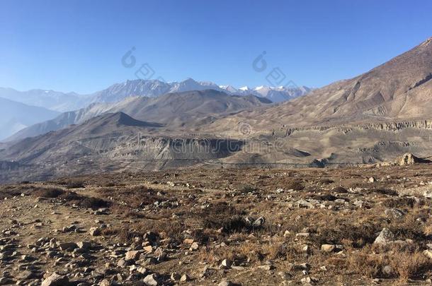 穆克蒂纳特山谷采用野马地区,尼泊尔采用W采用ter.