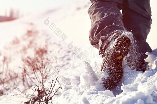 人徒步旅行向指已提到的人山顶大量的和雪低的角竞争