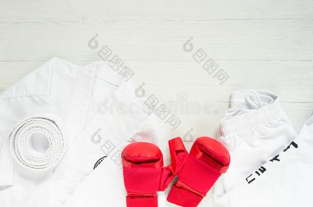 空手道,柔道,跆拳道制服和拳击手套向向白色的后座