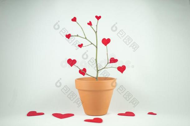 树关于红色的心,情人Â´英文字母表的第19个字母一天.