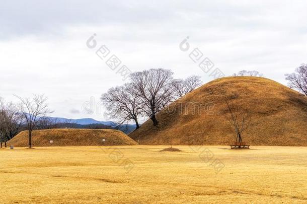 Noseori哥本根采用<strong>庆</strong>州