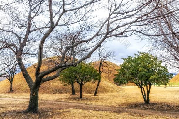 Noseori哥本根采用庆州