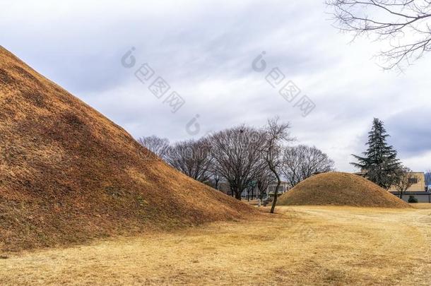 诺塞里哥本根采用庆州