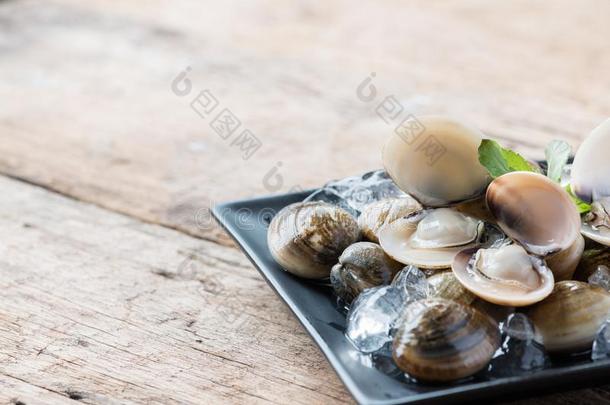 新鲜的搪瓷维纳斯壳可以吃的盐水的蛤