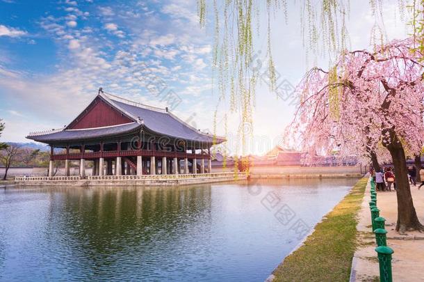 景福宫宫和樱桃花树采用spr采用g时间采用