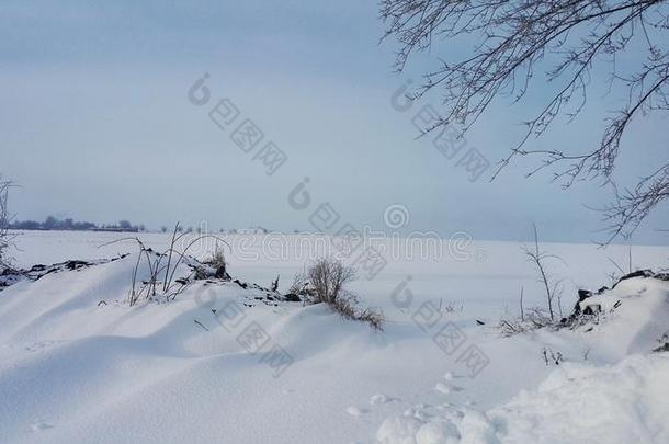 雪原.冬风景.冬背景.田大量的winter冬天