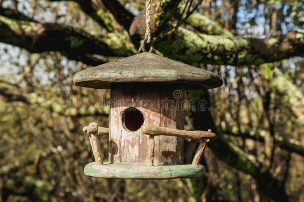 小的鸟房屋采用指已提到的人花园